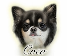 愛犬(チワワちゃん専門)の似顔絵描きます 記念日に我が子の絵を作ってみませんか？