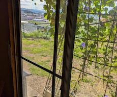 電子書籍であなたのための小説を書きます イメージ1