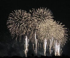 愛でる物の話し聞きます イメージ1