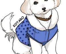 ペットのイラストを描きます イメージ1