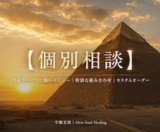 個別相談（カスタムメニュー）のヒーリングをします 既存メニューに無い組み合わせ・メニュー・その他個別の悩みに。
