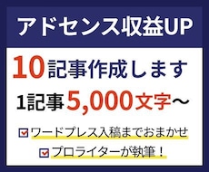アドセンスの集客・収益アップ記事を10本作成します イメージ1