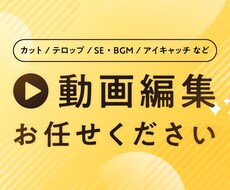 動画の編集いたします イメージ1