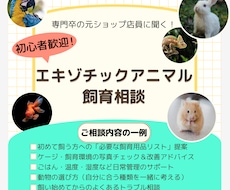 初心者歓迎！エキゾチックアニマル飼育相談承ります イメージ1