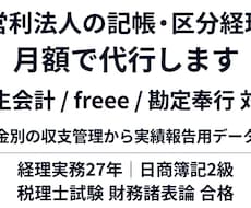 非営利法人の記帳と助成金の区分経理を代行します 弥生・freee対応。実績報告に耐える区分経理を毎月