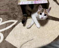 お時間持て余してる方〜どんな事でもお聞き致します イメージ1