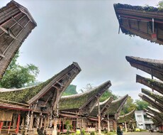 インドネシア進出に関する壁打ち相談をうけます イメージ1