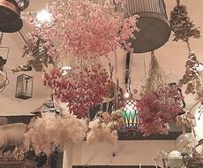 現役JKの意見や流行など教えます イメージ1