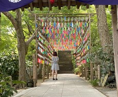 カウンセラーの卵が悩み・愚痴聞きます イメージ1