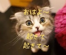 モーニングコールで優しく起こしてさしあげます モーニングコール意外でも、起こして欲しい時間にお電話致します