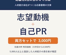 志望動機と自己PRを応募先に合わせて作成します イメージ1