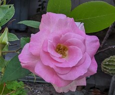 小さな事でも、人生のお悩み等、何でもお聞きします イメージ1