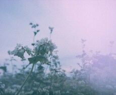 高校生としての視点で相談などに乗らせて頂きます イメージ1
