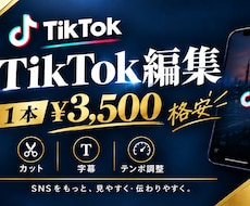 格安で伸びるTikTok動画を編集します イメージ1