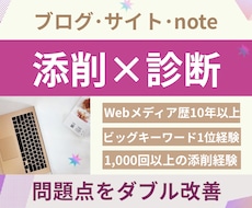 記事添削＋ブログ診断⭐︎アフィリエイト改善します 文章×アフィリエイト×SEO×収益化の問題点をダブル改善