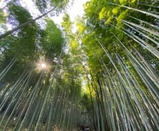 仕事を続けようか悩んでいる方相談にのります イメージ1