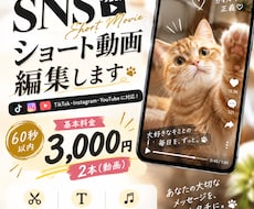 60秒1500円！SNSショート動画編集します イメージ1