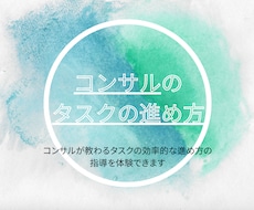 02現役コンサルがタスクの進め方/作成を指導します イメージ1