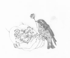 繊細で優しい雰囲気のイラスト描きます イメージ1