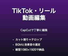 TikTokリールをCapCutで編集します イメージ1