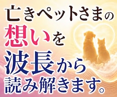 亡きペットさまの想いを波長から読み解きます 愛する家族との絆を、古神道と波長の視点で丁寧に読み解きます。