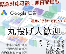 丸投げ大歓迎プロがGoogle広告運用代行します イメージ1