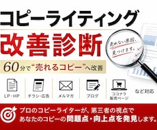 プロがコピーライティングの改善診断をします たったの６０分で、”売れるコピー”に変身させます！