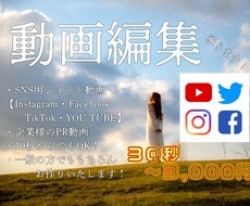 手軽にアップ出来る様な動画やPR動画まで作成します イメージ1