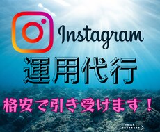 Instagramの運用代行をします 特別価格でお引き受け致します！！