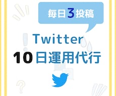10日間Twitter運用を代行いたします SNS運用のプロが全て手作業でターゲットへのアクションを実施