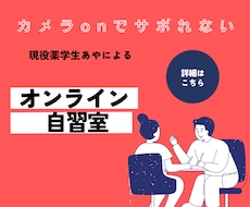 現役薬学生、あやがあなたの自習をサポートします イメージ1