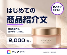 箇条書きから読みやすい商品紹介文を作ります イメージ1