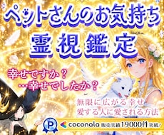 ペットさんお気持ちリーディング✨霊視鑑定いたします 今、幸せ感じてくれている？虹の橋を渡った子の気持ちも鑑定可能