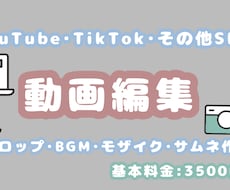 YouTube・その他SNS用の動画編集します イメージ1