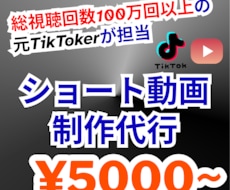 TikTokなどショート動画の制作承ります 【総視聴回数100万回以上の元TikTokerが制作代行】
