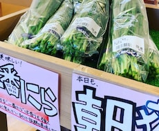 あなたに代わって商品の良さを伝えます イメージ1