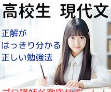 会話を通して受験現代文読解を学ぶ機会を提供します 現代文の読み方習ったことありますか？