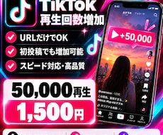 TikTokの投稿再生回数5万回増加させます イメージ1