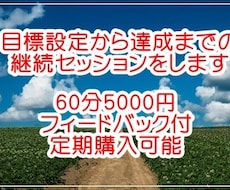 目標設定から達成までの継続セッションをします