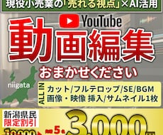 初心者歓迎！親切・丁寧・即レスで動画編集します イメージ1