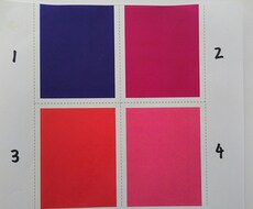 恋愛の成功法則　　4つのカラーから知るあなたの恋愛パターン イメージ1