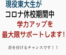 コロナによる休校中、東大生がお子様の勉強を支えます 塾や学校の突然の休校は、周りと差を付けるチャンスです！