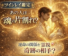 本物のツインレイか霊視します