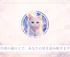 白猫シフォンの月占いであなたの星を紐解きます 月夜の蓮の上で、あなたの星をやさしく紐解きます