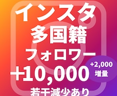 インスタグラム多国籍フォロワー増加サポートします イメージ1