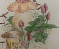 手書きイラストを描きます イメージ1