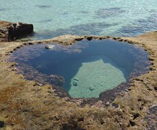 あの人の気持ちや状態☆恋愛リーディング☆いたします お相手の気持ちや状態、あなたの恋愛エネルギーを読み解きます☆