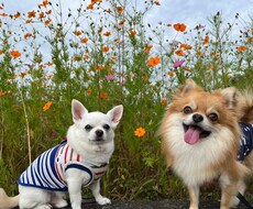 どんな些細な事でもお話聞きます イメージ1