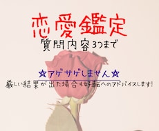 幸せな恋愛へ導きます お相手の気持ち・近未来に好評いただいてます