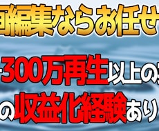 youtube用の動画編集に自信があります イメージ1